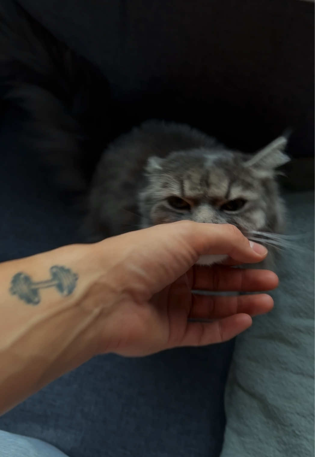 @petargocobija