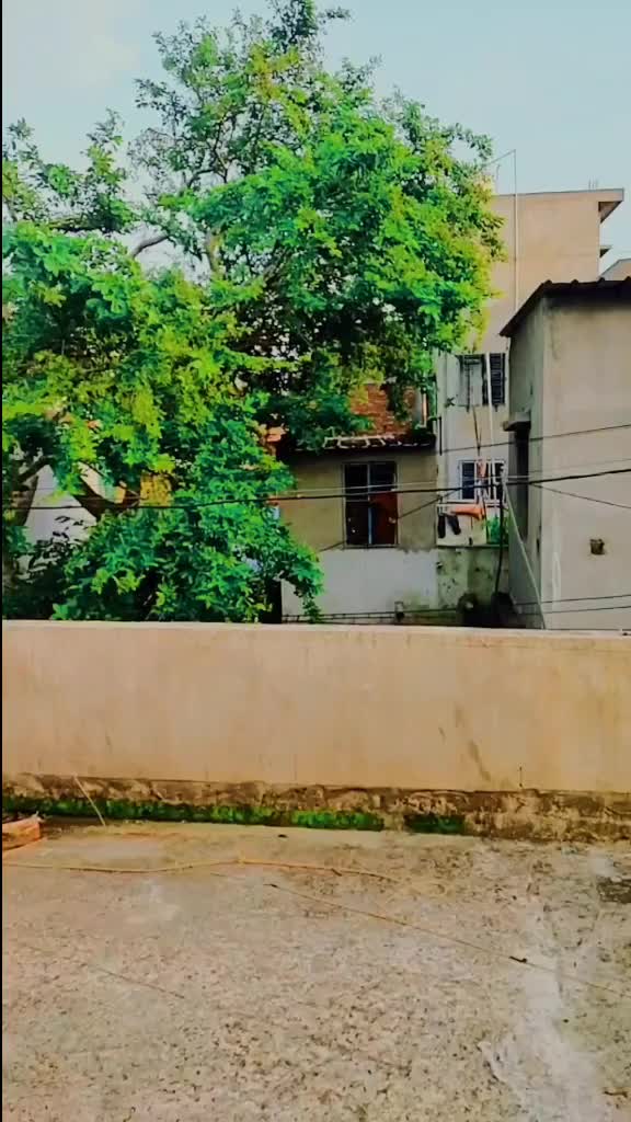@badsha avi