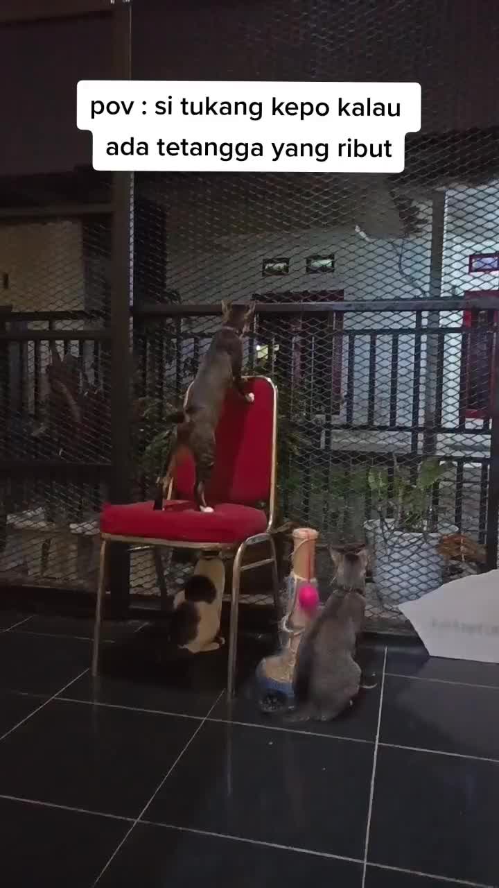 @Keluarga Manja R