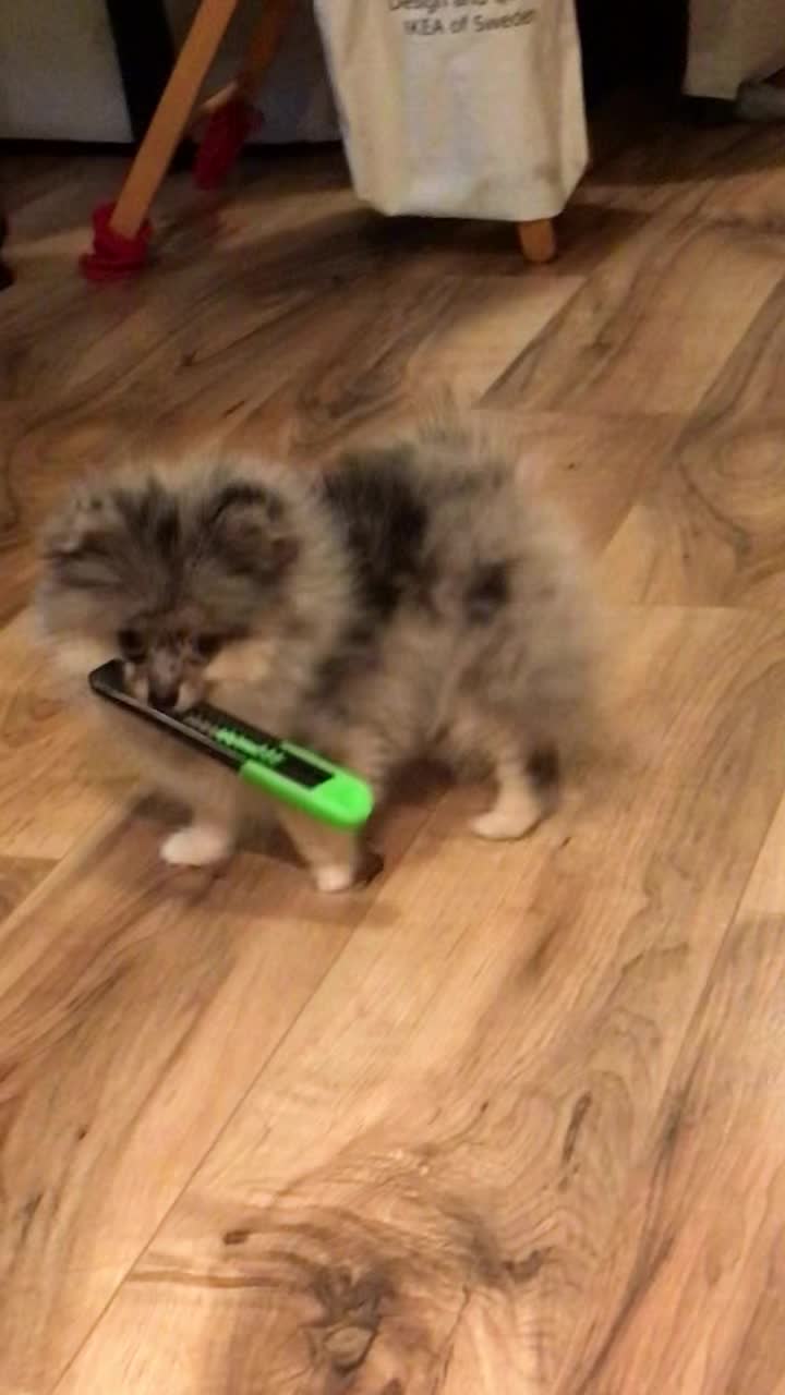 @kat