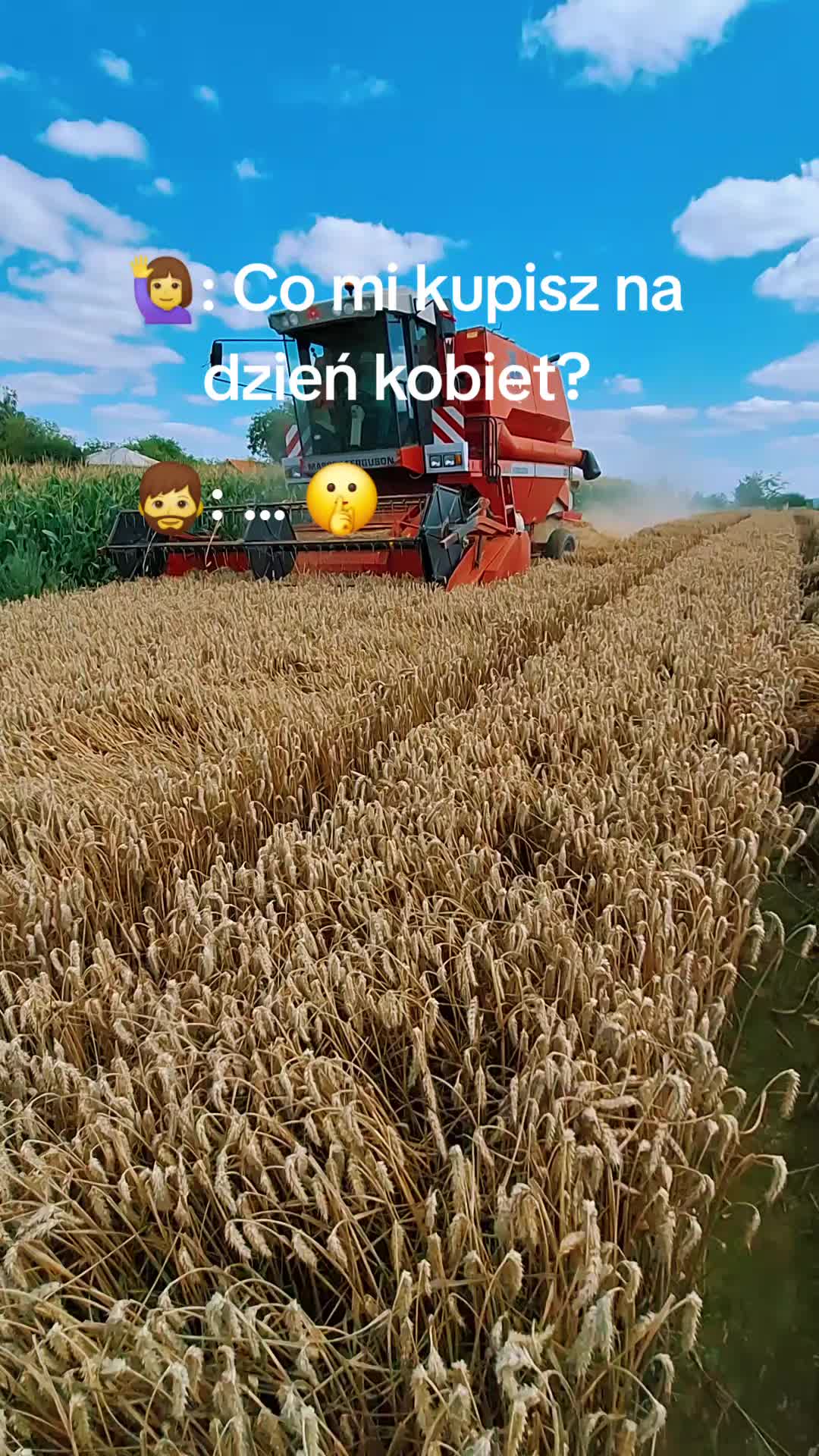 @Michał