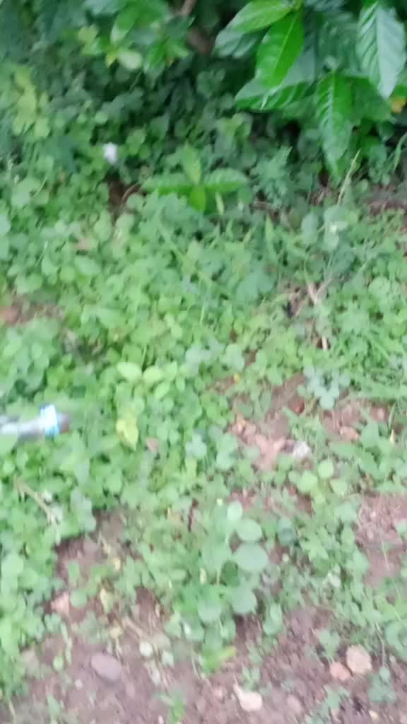 @tik Tok