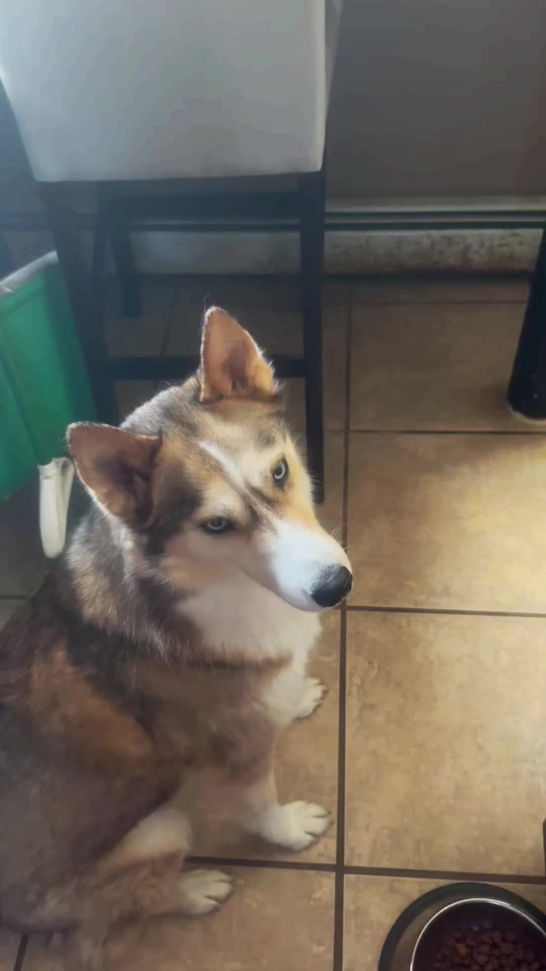@Husky 6 Pack