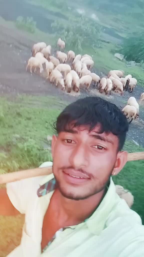 @seja_k_kodiyatar