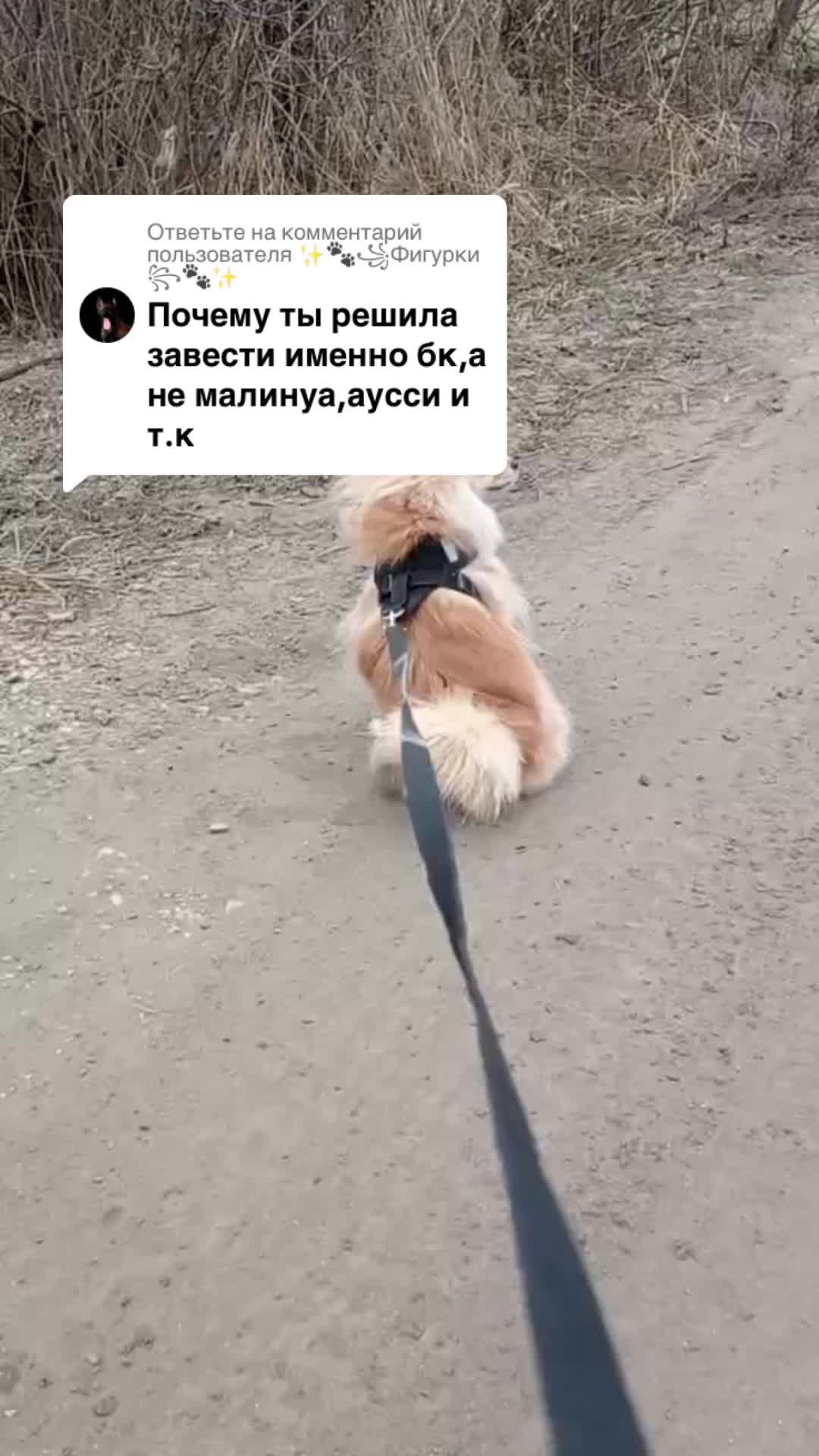 @бк💋