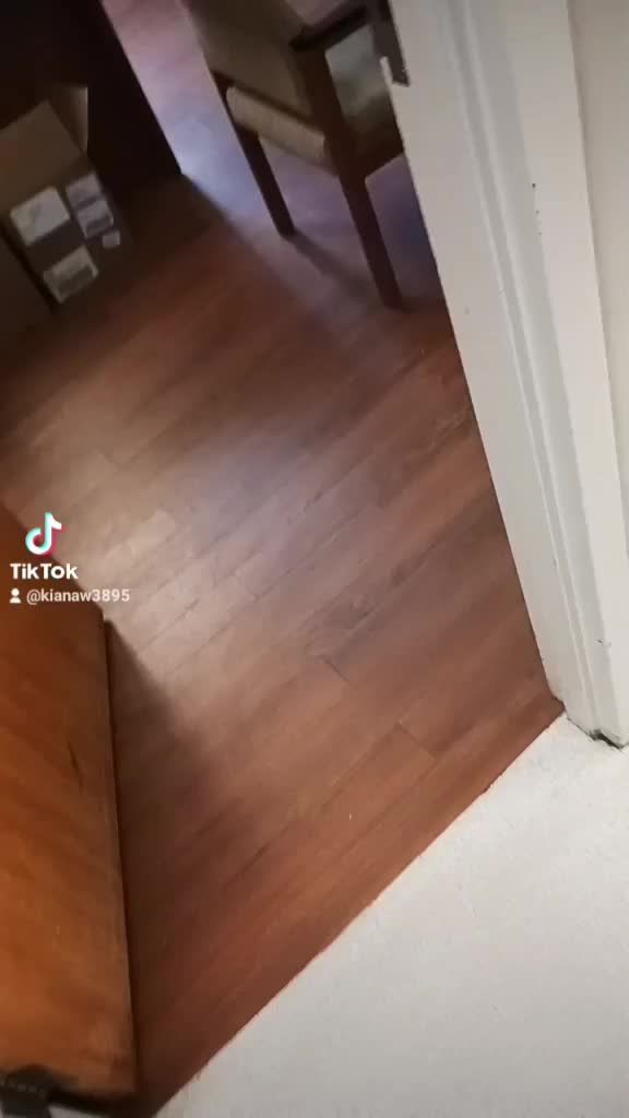 @kianaw3895