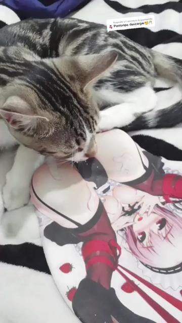 @Ruka D. Cosplay