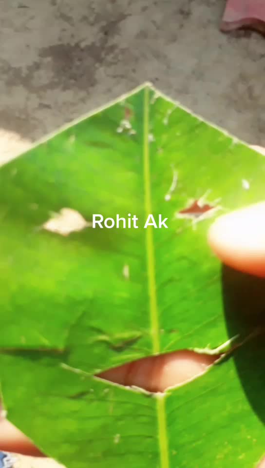 @Rohit Singh