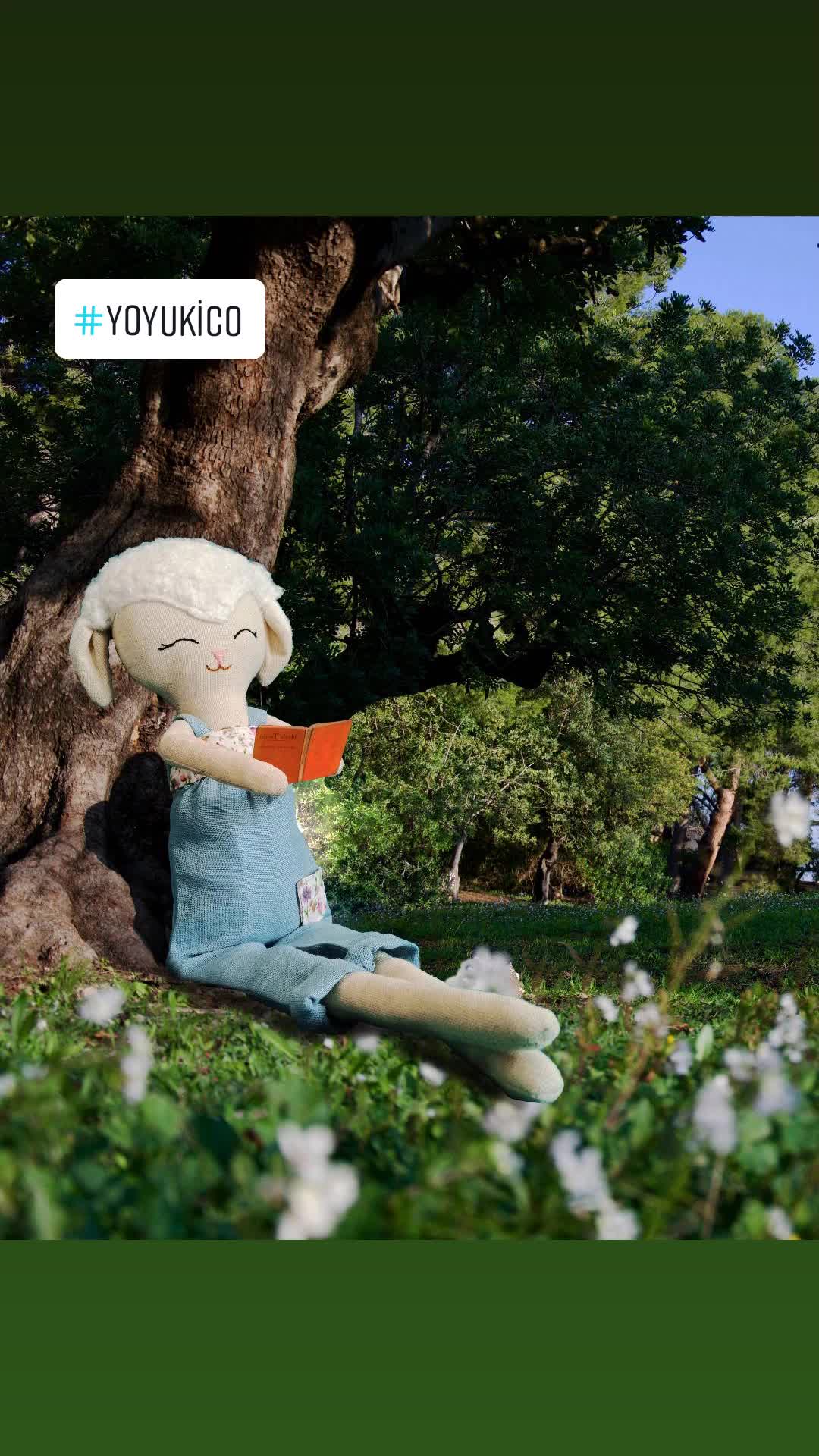 @Yoyukico