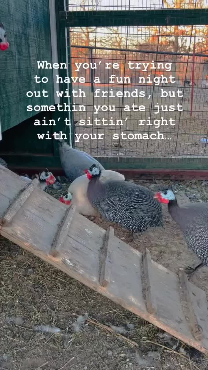 @_c5farm_