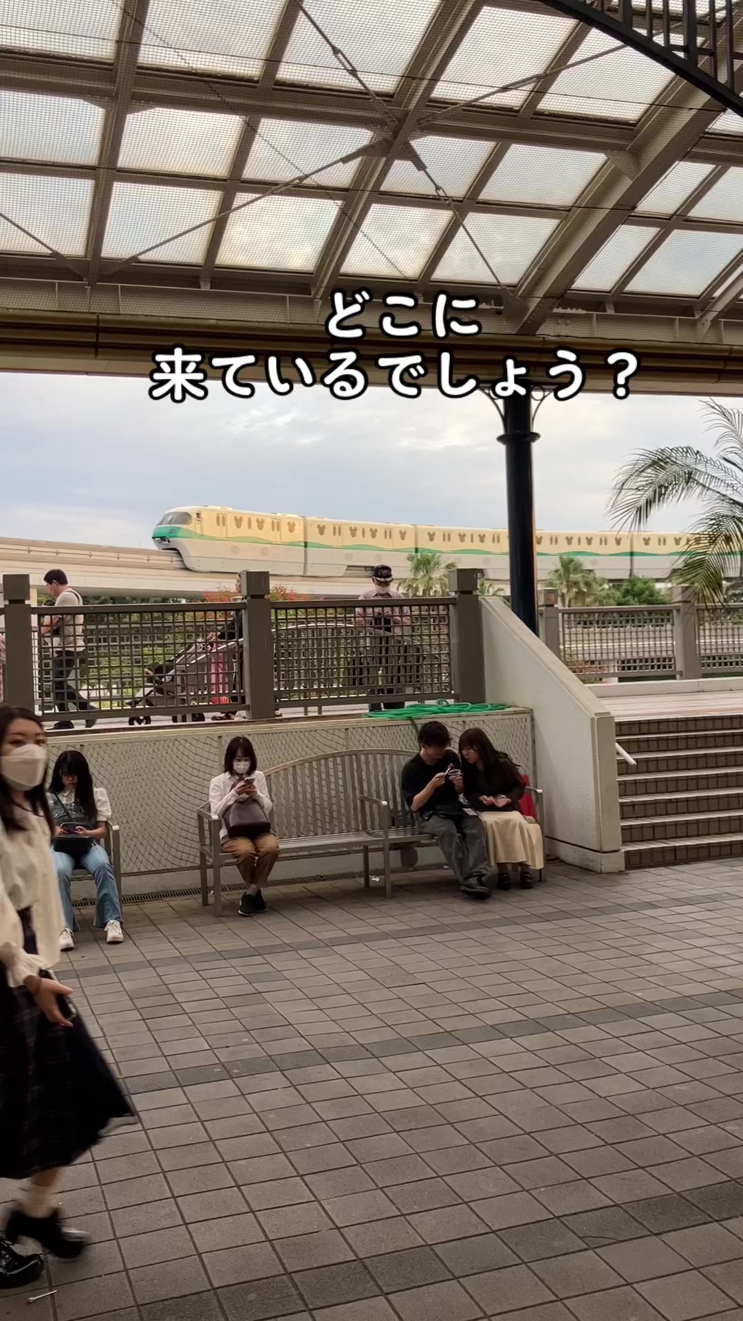 @Sheeply代表かける