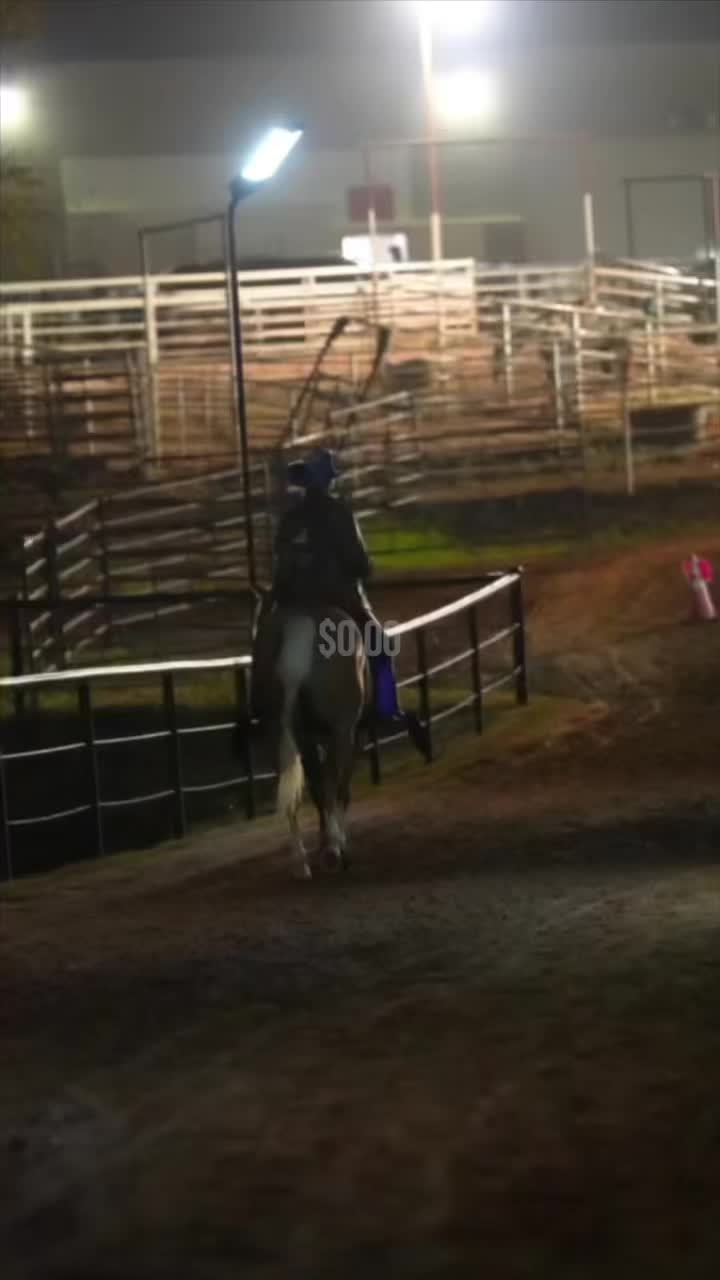 @Red Hot Running Horses