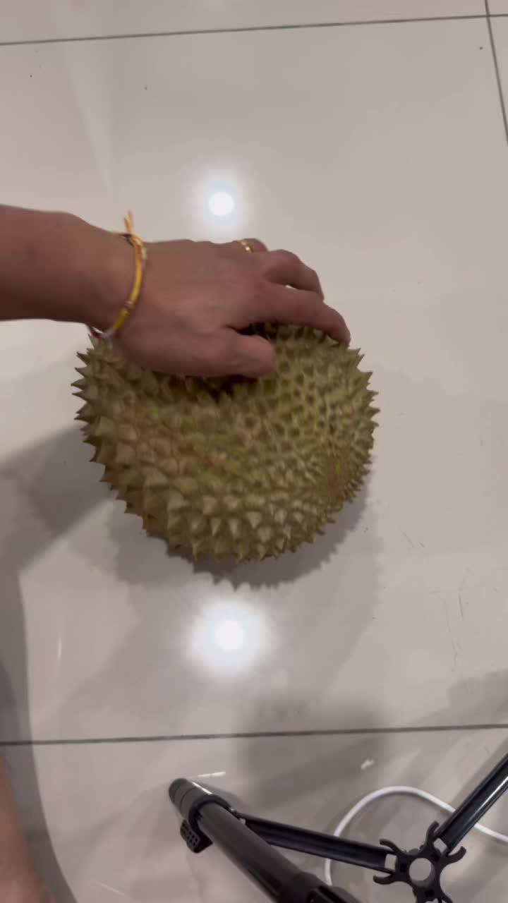 @Durian King Kaki
