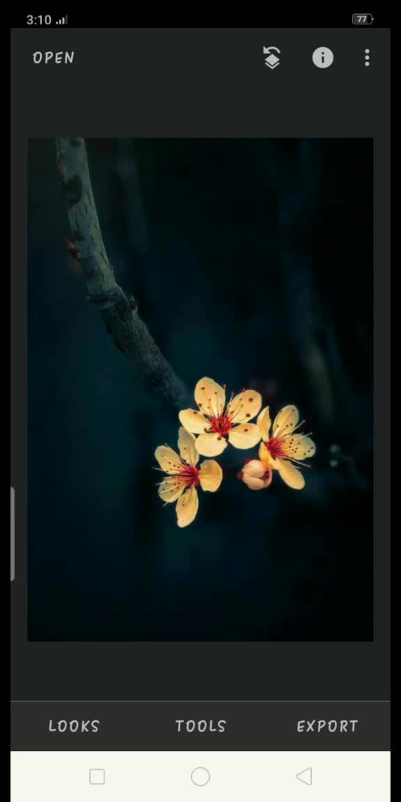 @shivakami..........