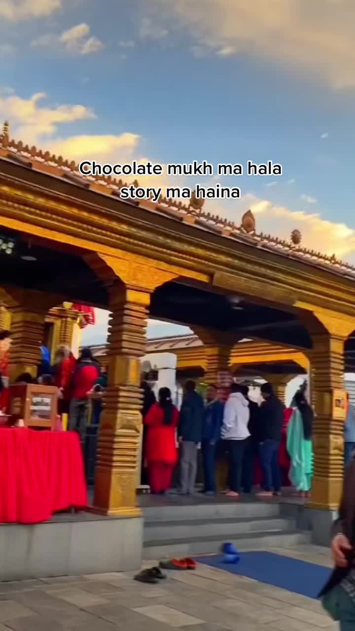 @hallelujah