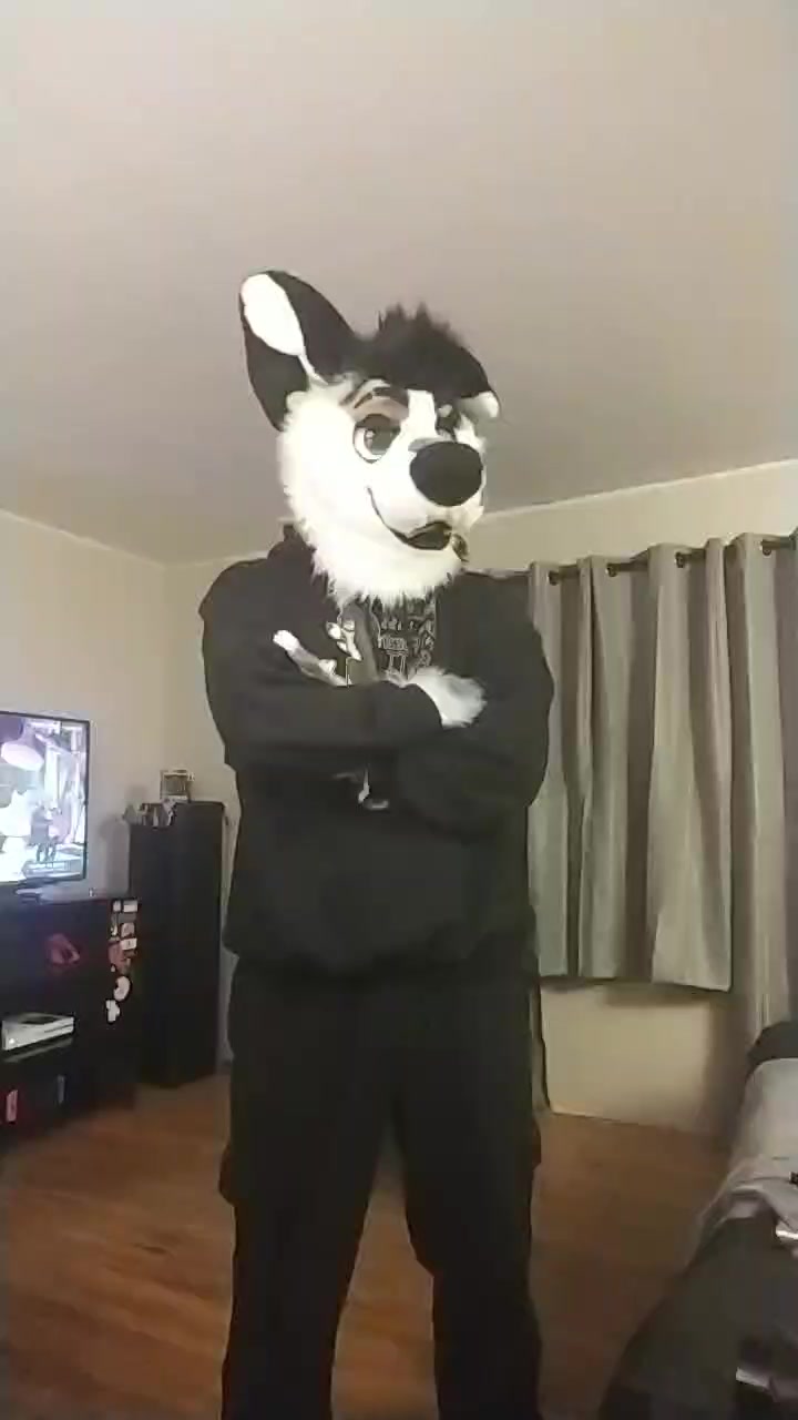 @Ryker_Mutt