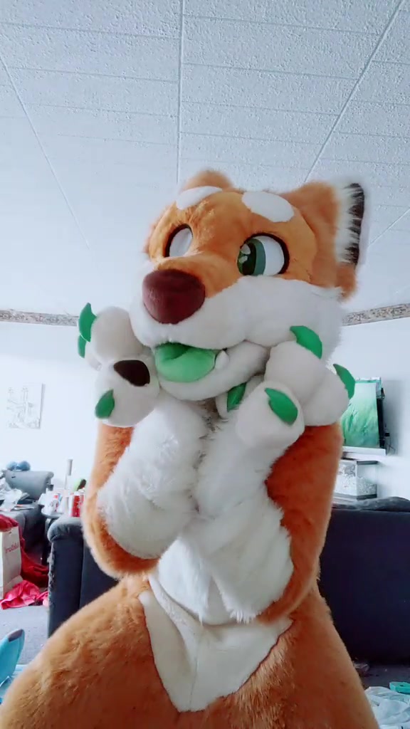 @CookieShiba