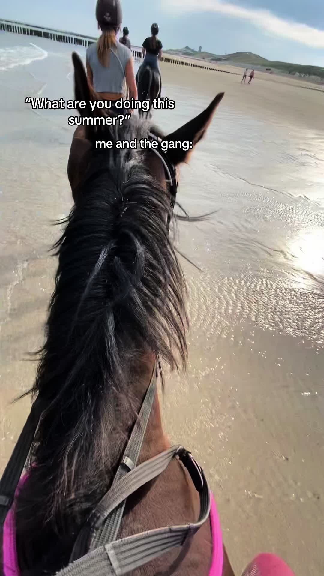 @𝓪𝓷𝓪𝓮𝓵𝓵𝓮