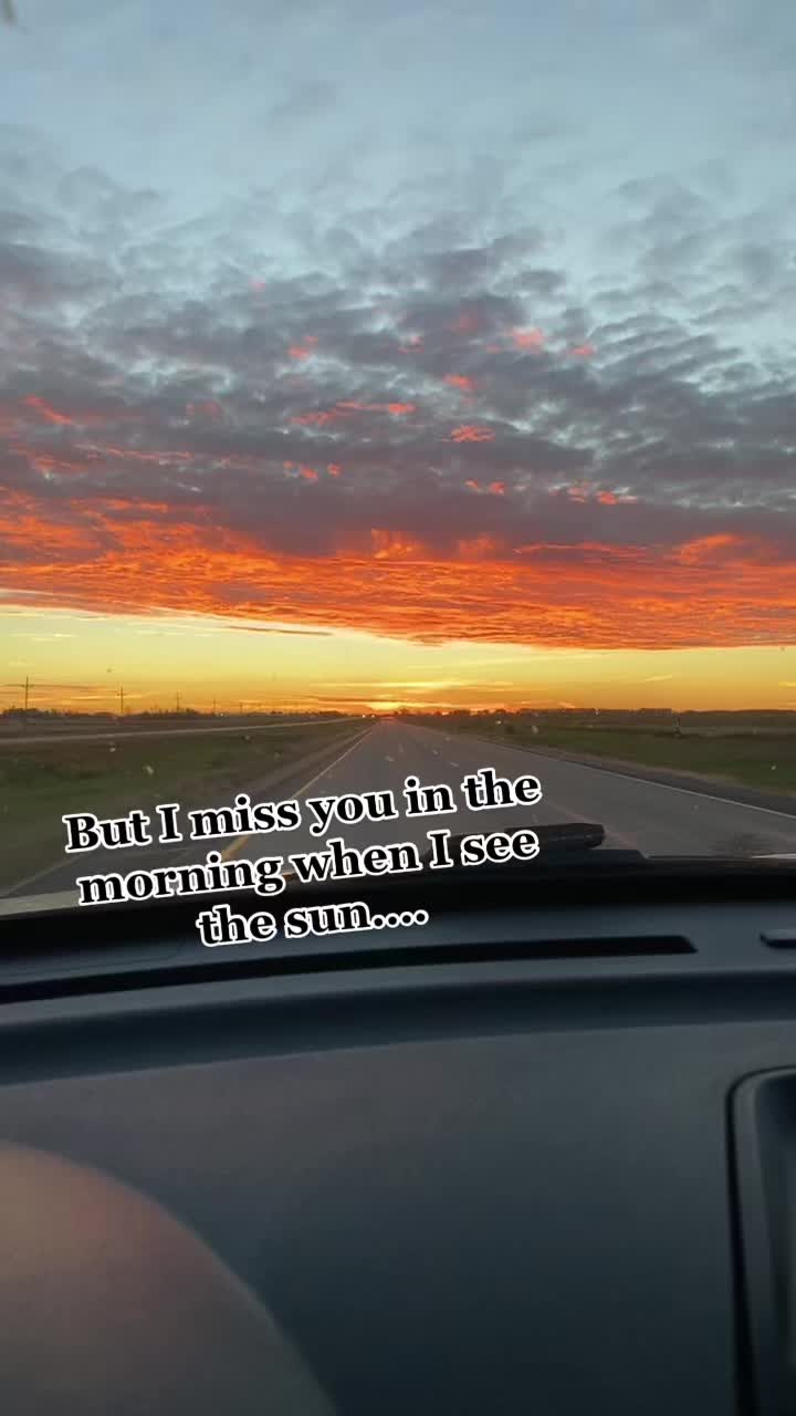 @5_0WolfPup
