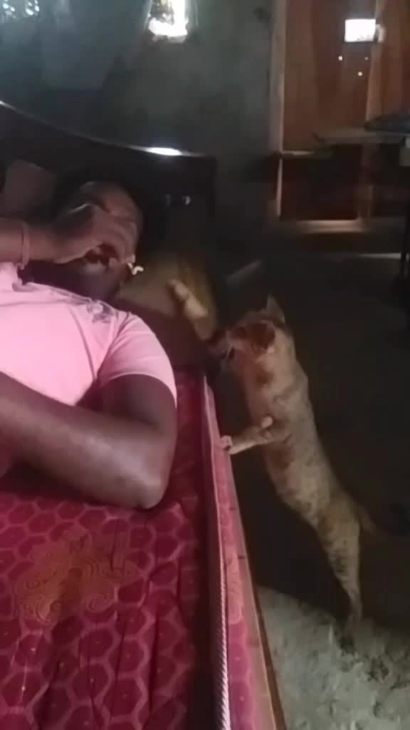 @Vinayagam Vinayagam