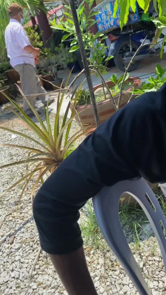 @mohdariff69