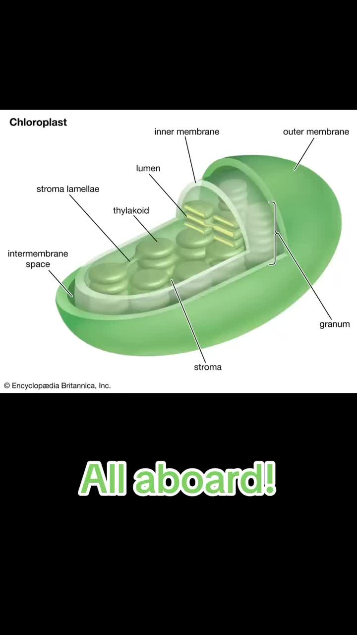 @GetAPBIOed