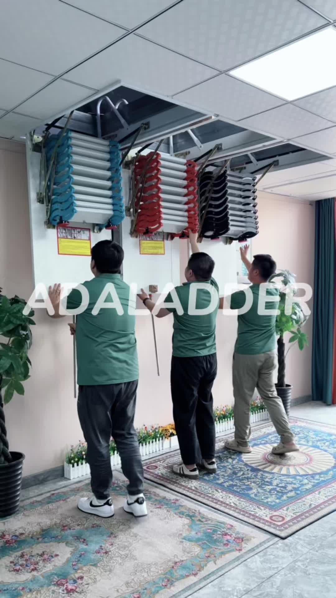 @Renee_attic ladder
