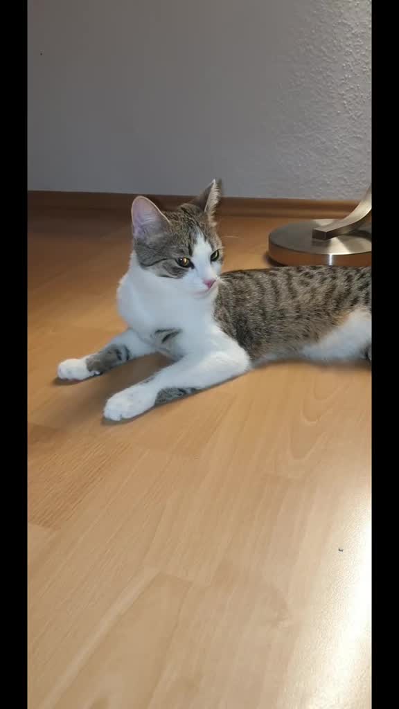 @Minnoş❤💙61