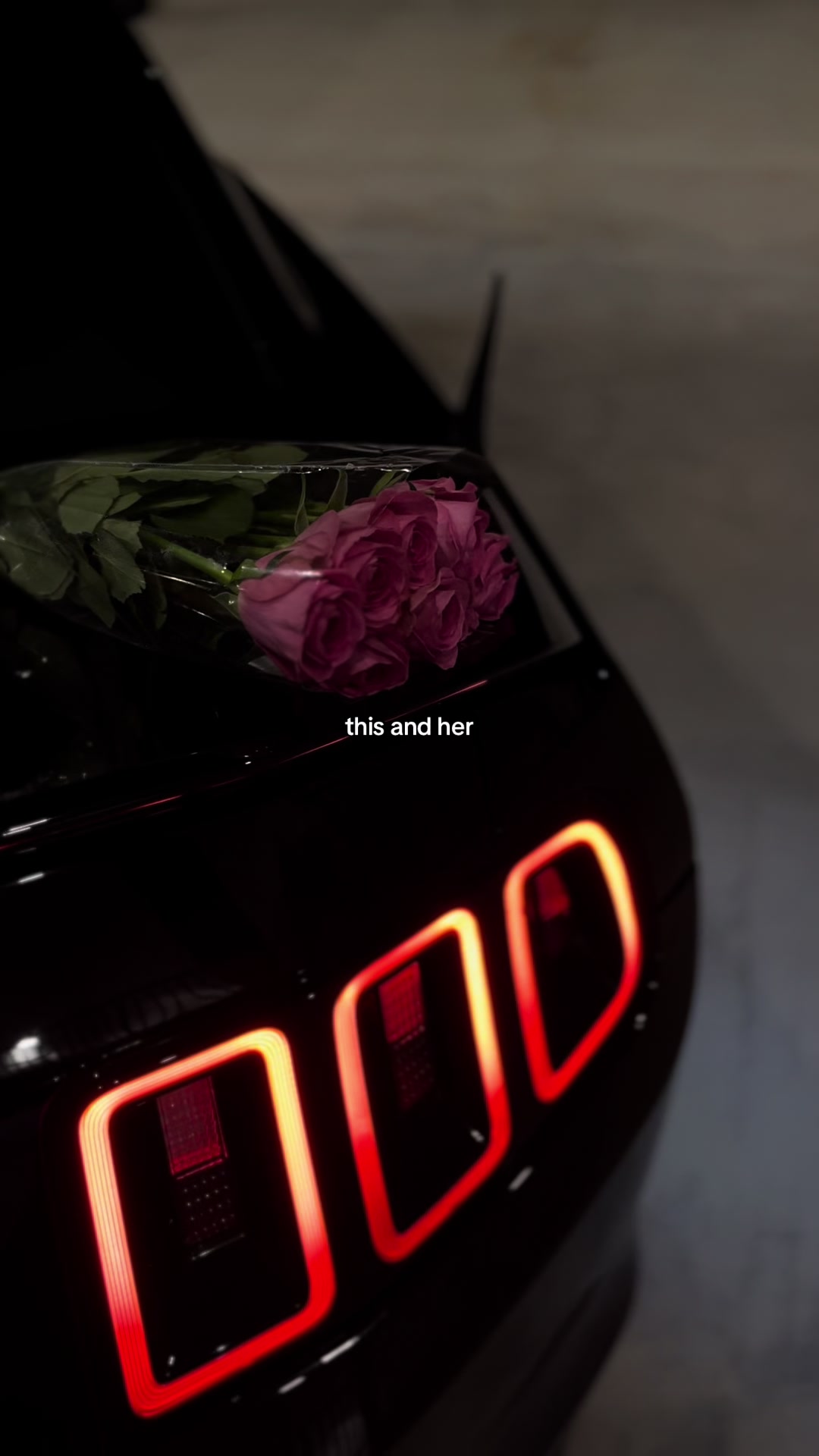 @Selena5.0