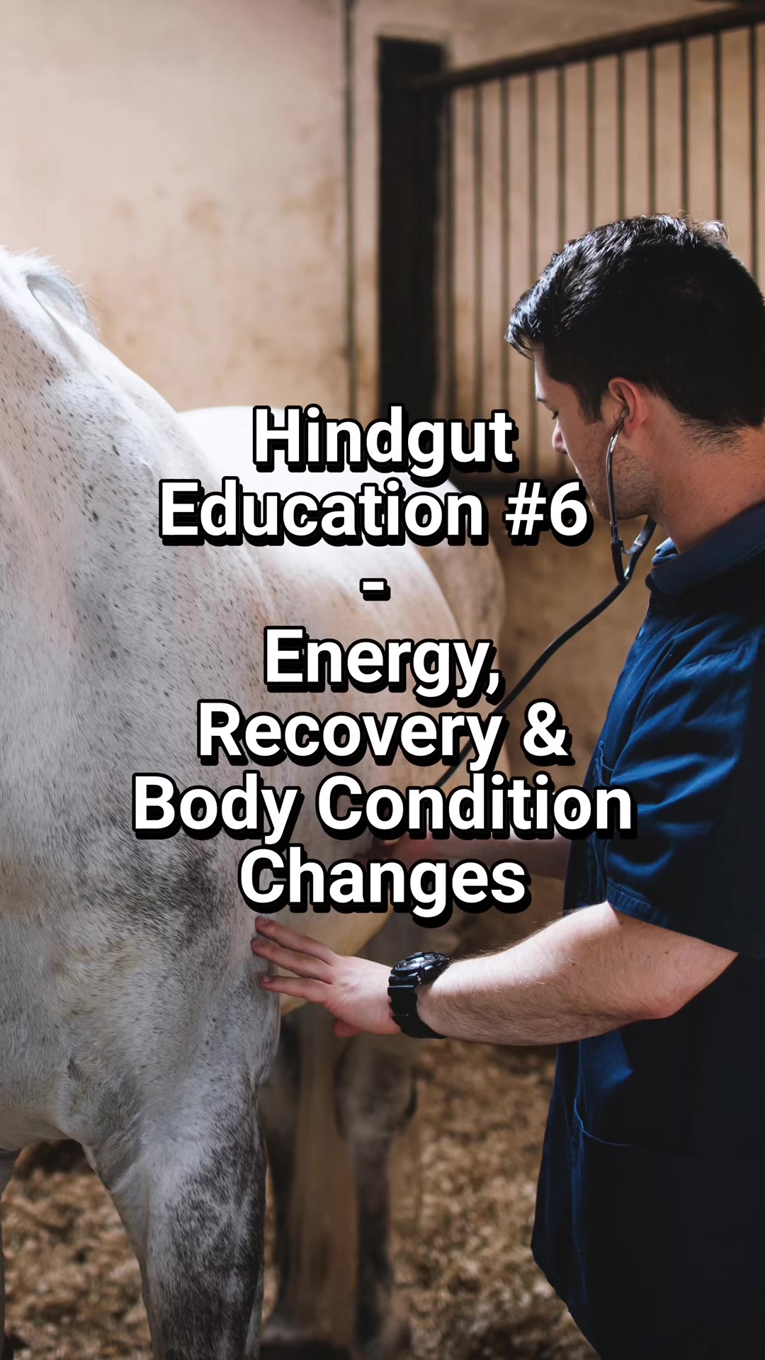 @equinectar