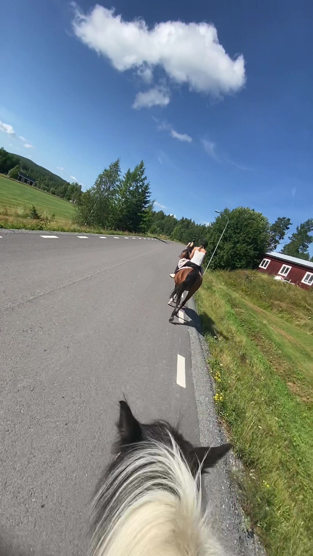 @kerstin🐴