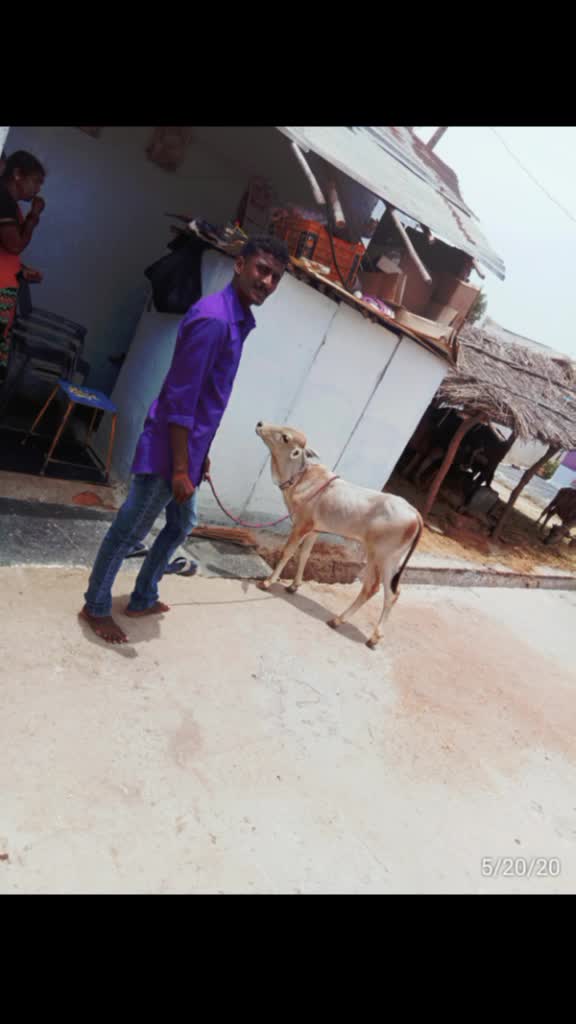 @Vijay Krishna