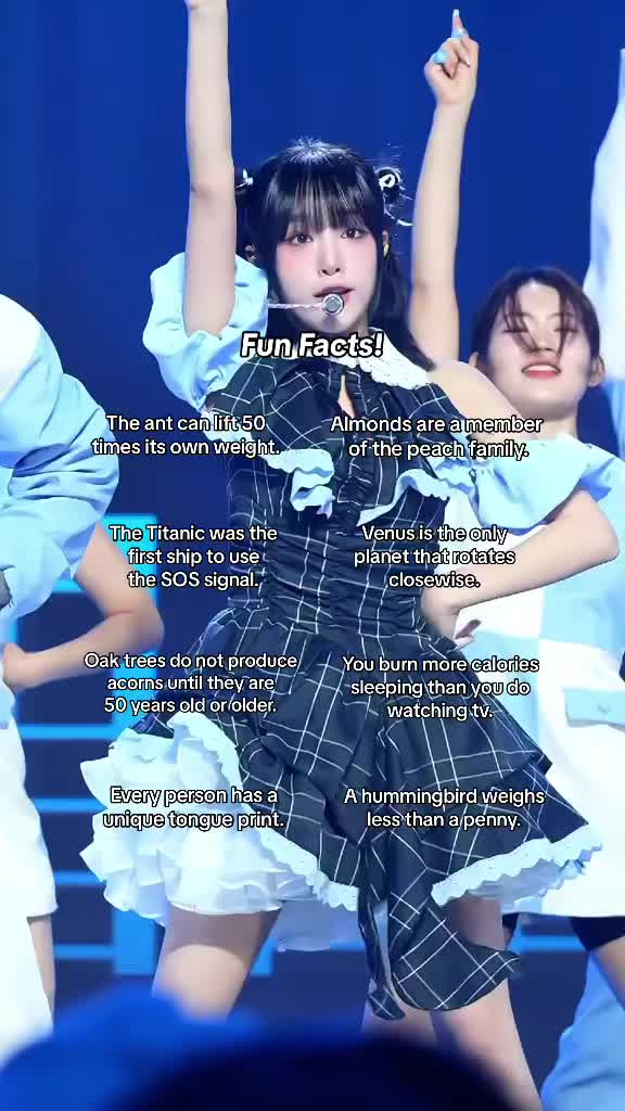 @ೀ | anh | 1.9k ✿