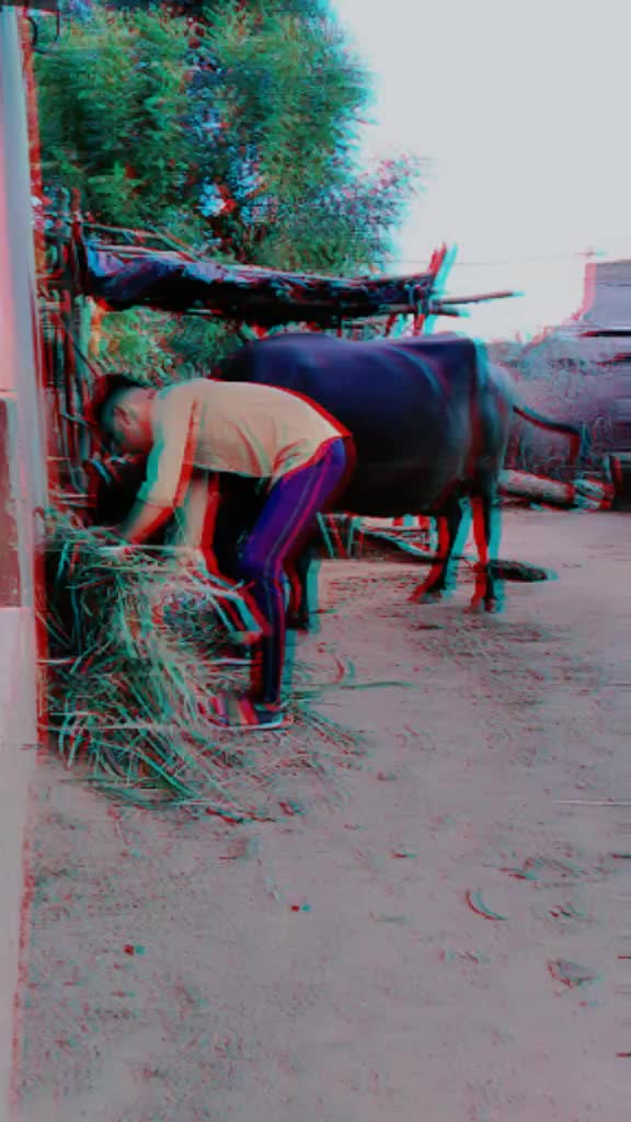 @Madhavraj Dewasi Raj