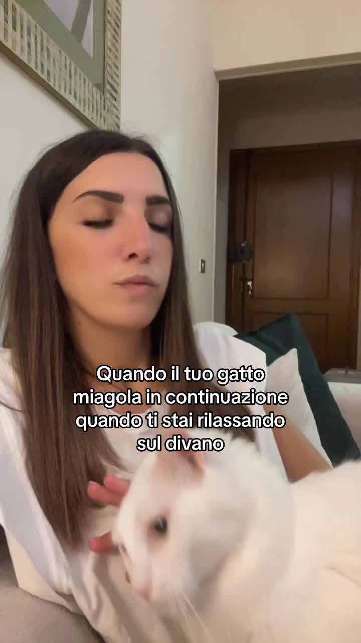 @Ambretta