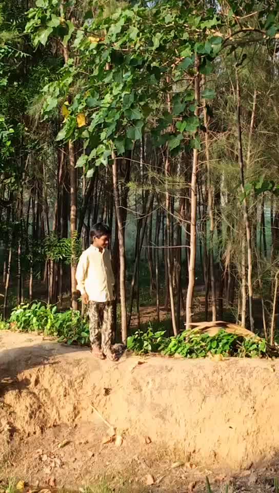 @vashista