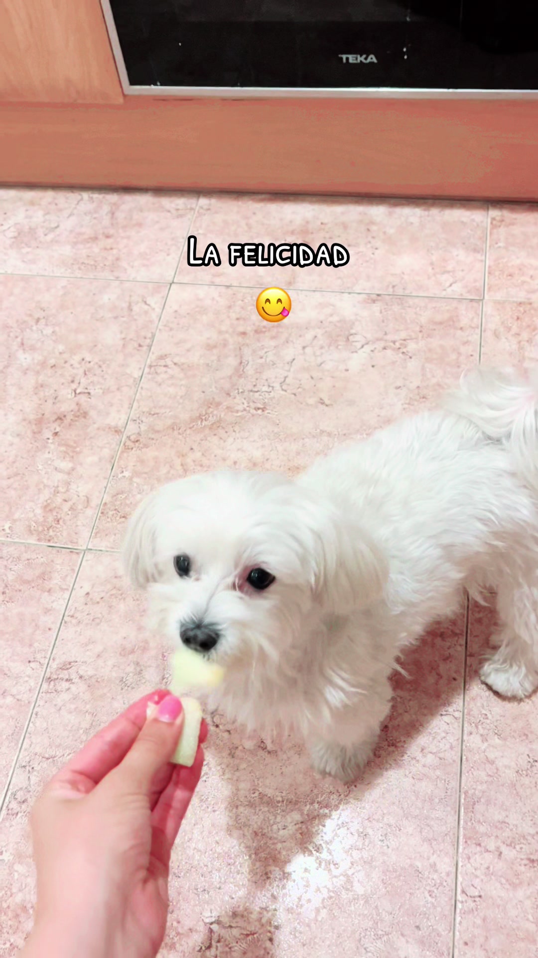 @Darla 🧡🐶🧡