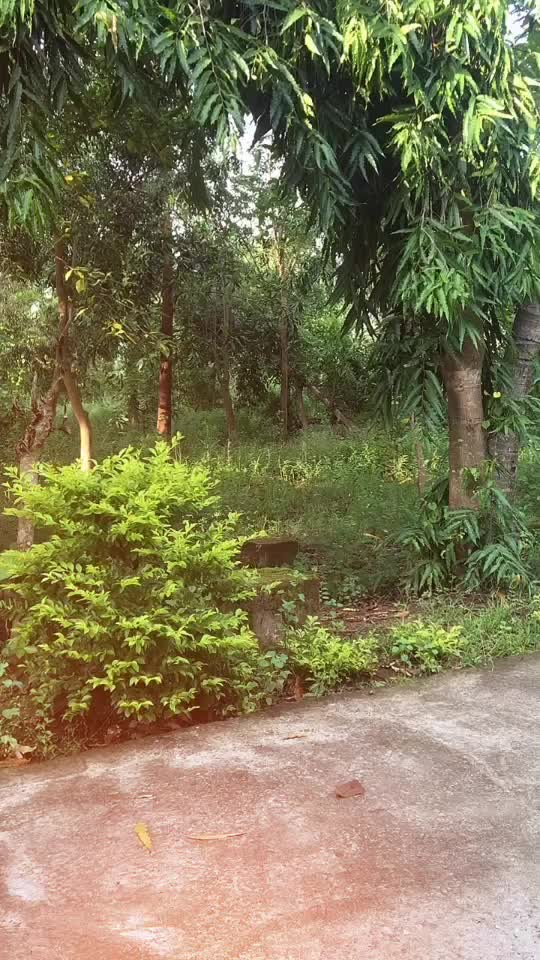 @Ravi Patra