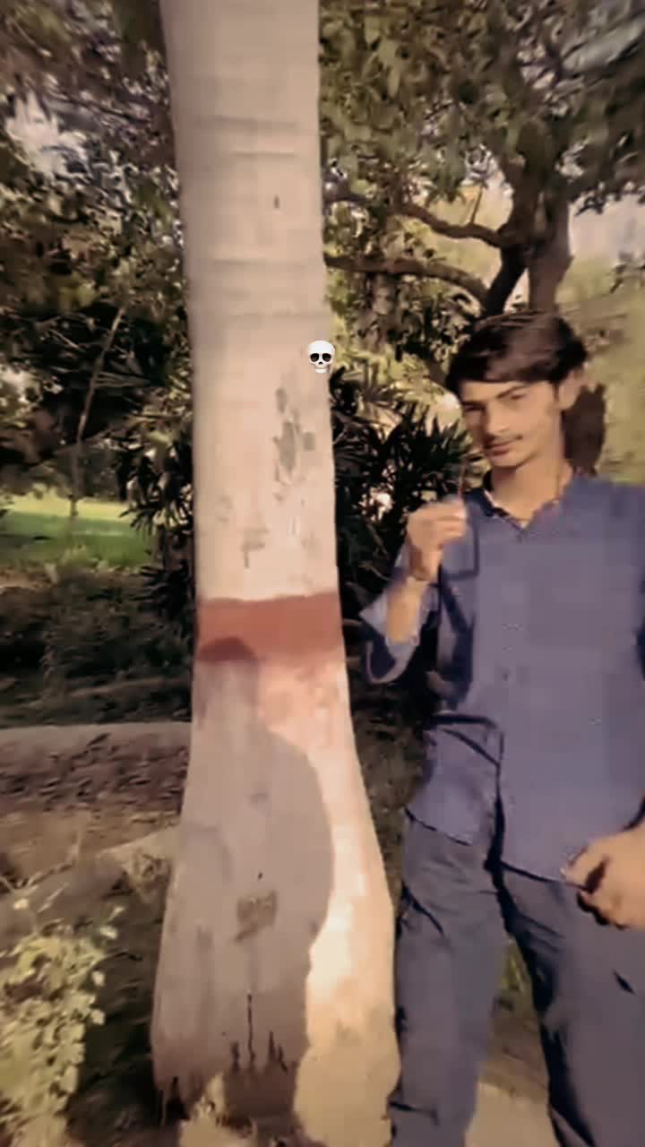 @DX ZANI MEHAR メ