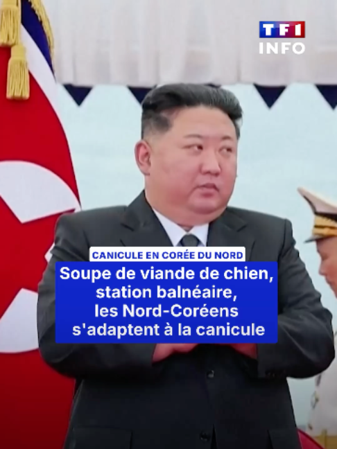 @TF1 INFO