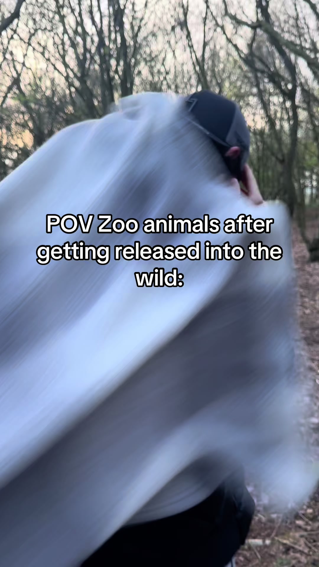 @Irvo