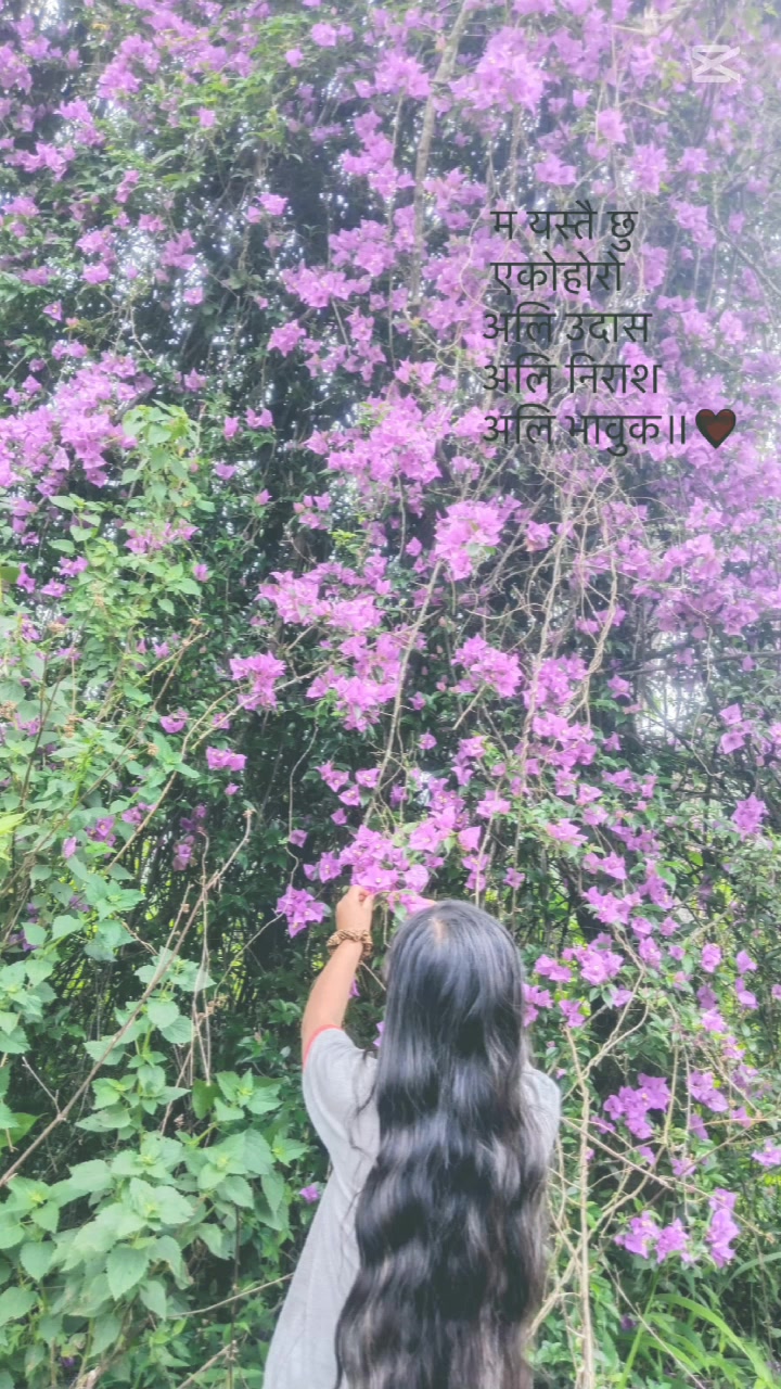 @โฐโ๐๐๐๐๐ฃ๐๐ โ๐๐๐โโฐ