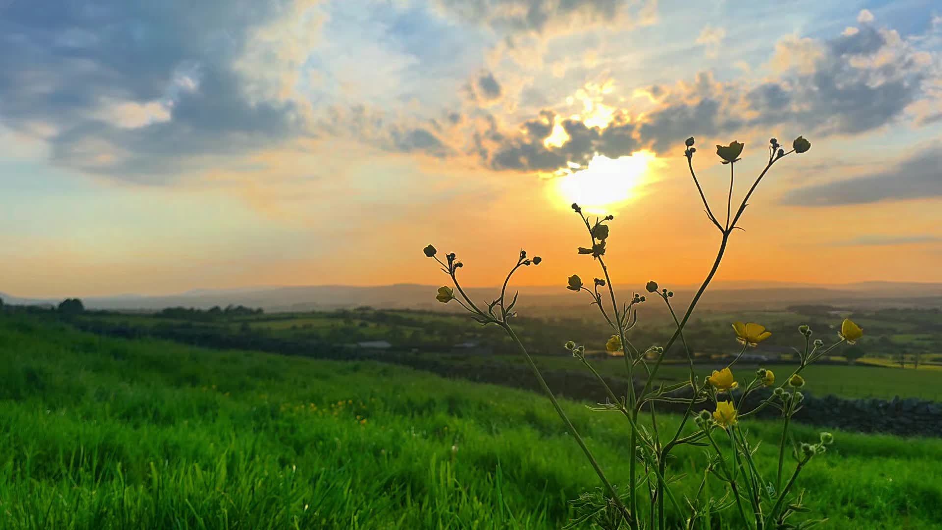 @Harveys_adventures🚶♂️⛰️📷🌅