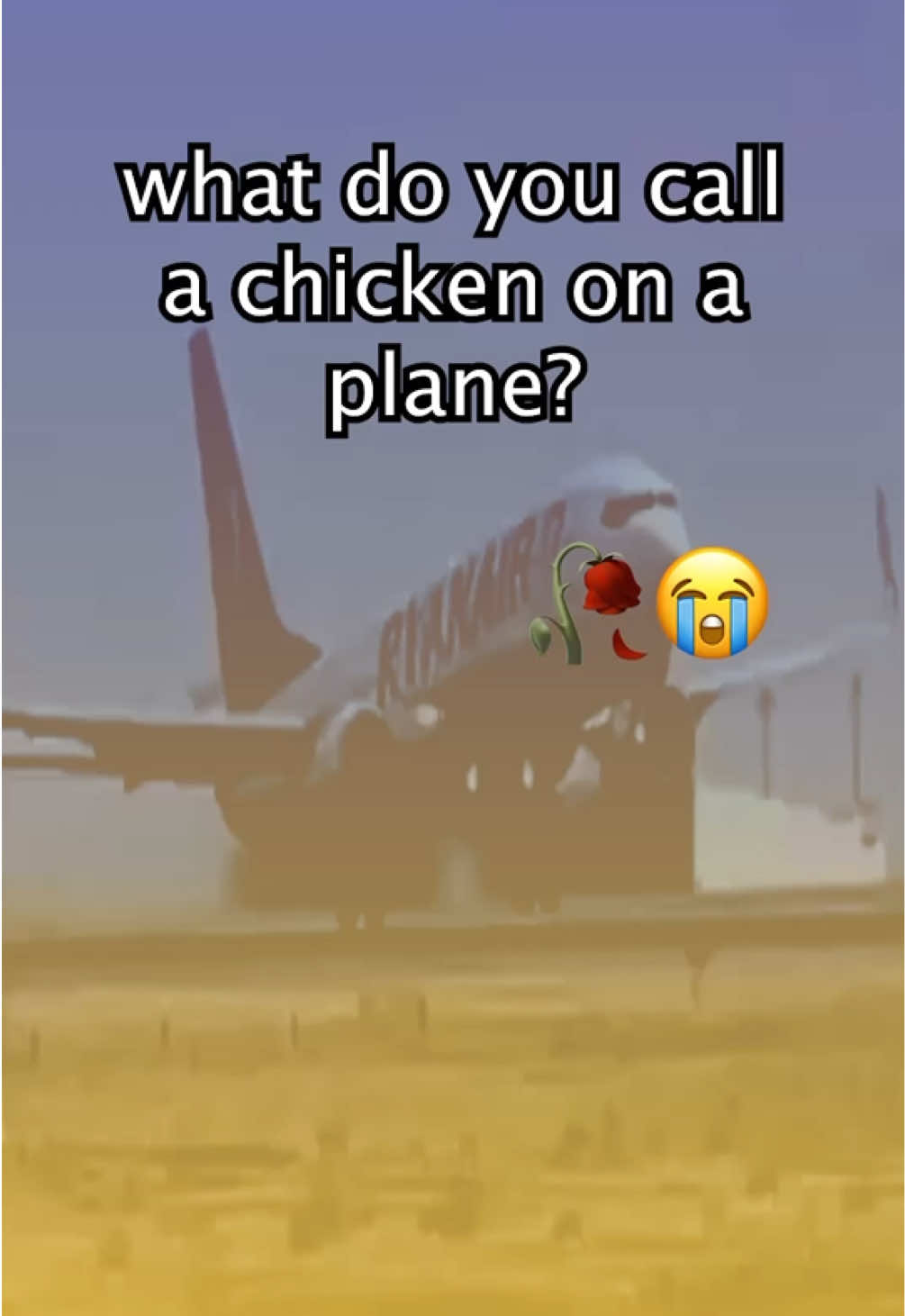 @Ryanair