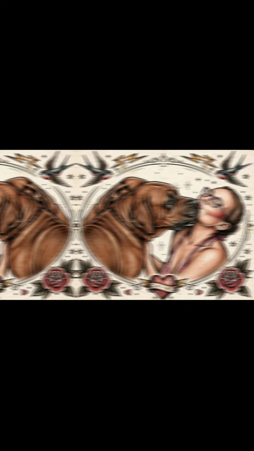 @Spirit of Asia Kennel