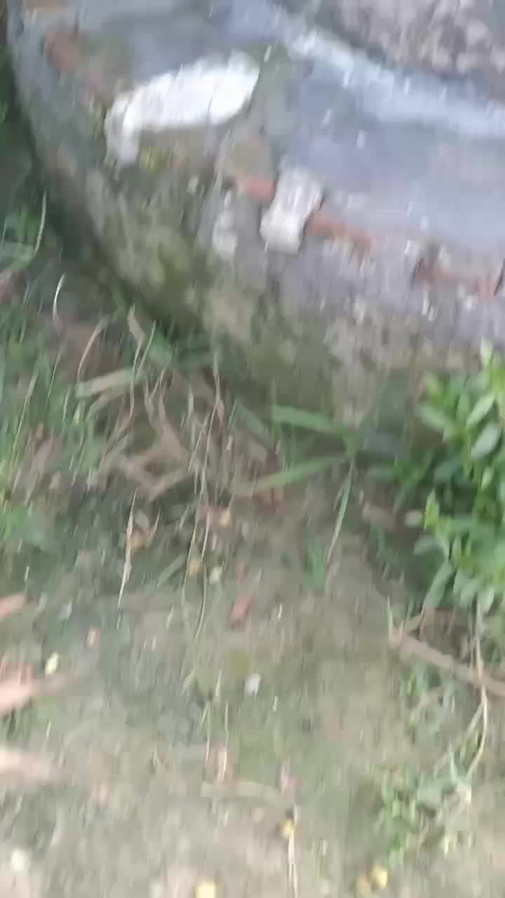 @Zehreela30001
