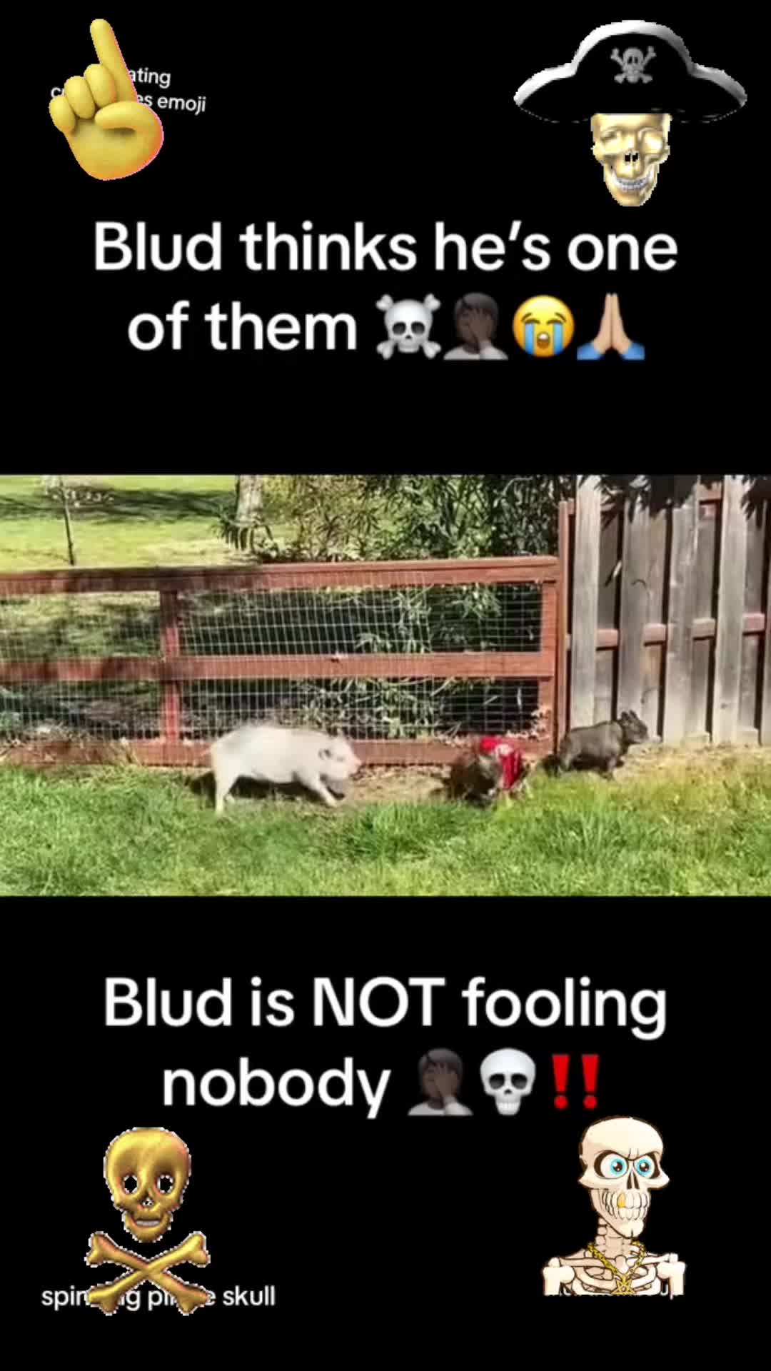 @TheSniffer