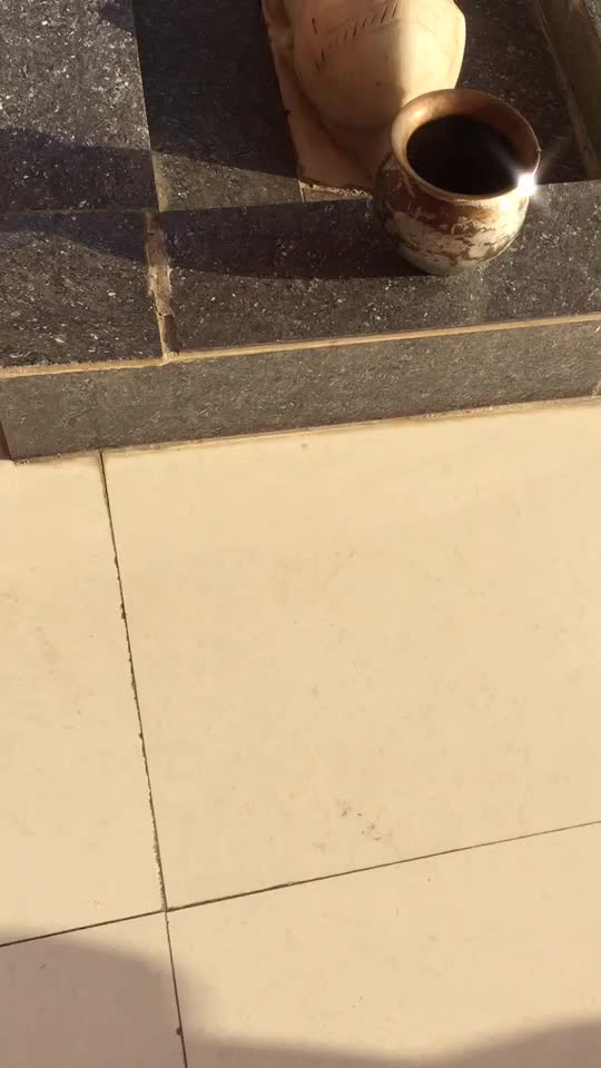 @Saini UAE