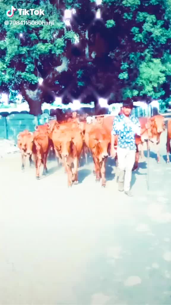 @sayar,,,,govadiyo302