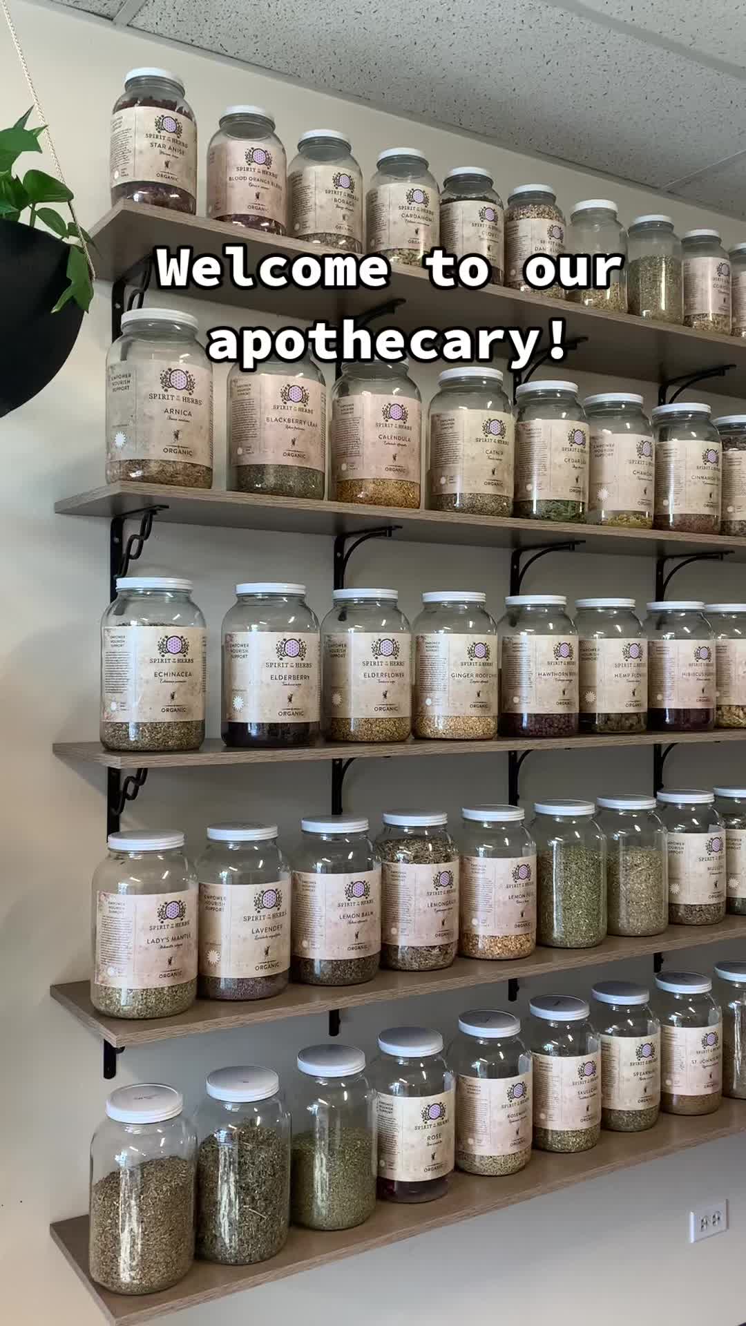 @Spirit of the Herbs